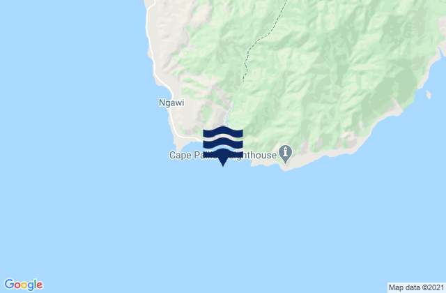 Mappa delle Getijden in Cape Palliser (Matakitakiakupe), New Zealand