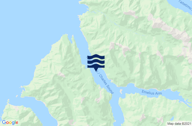 Mappa delle Getijden in Charles Sound, New Zealand