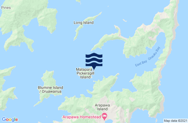 Mappa delle Getijden in Fitzgerald Bay, New Zealand
