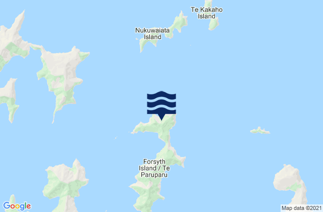 Mappa delle Getijden in Forsyth Island (Te Paruparu), New Zealand