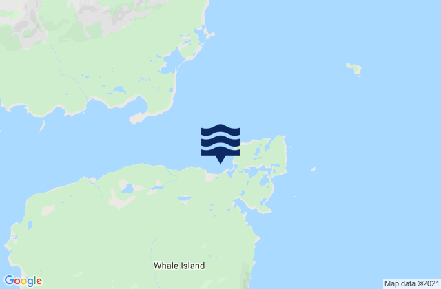 Mappa delle Getijden in Fox Bay (Whale Island), United States