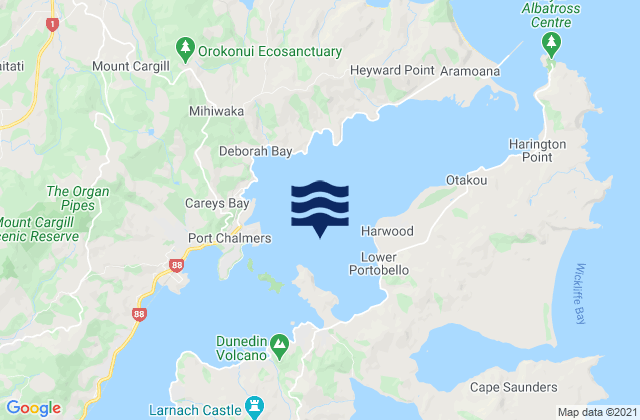 Mappa delle Getijden in Portobello Bay, New Zealand
