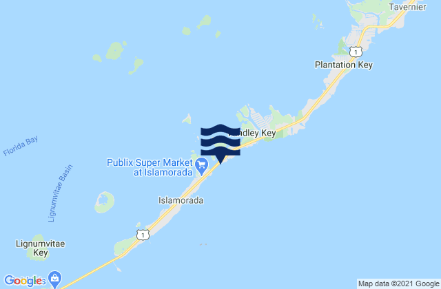 Mappa delle Getijden in Whale Harbor (Windley Key Hawk Channel), United States