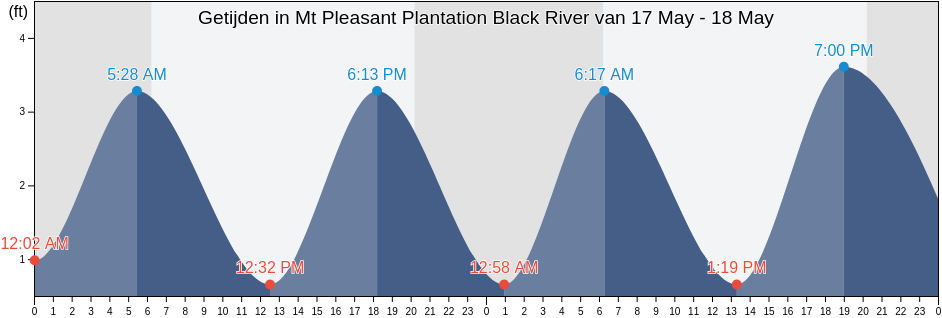 Getijden in Mt Pleasant Plantation Black River, Georgetown County, South Carolina, United States