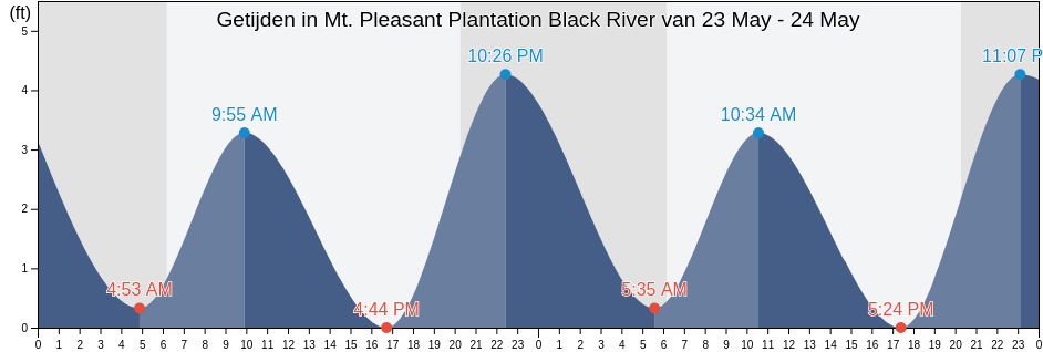 Getijden in Mt. Pleasant Plantation Black River, Georgetown County, South Carolina, United States