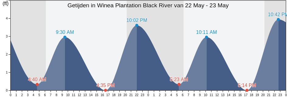 Getijden in Winea Plantation Black River, Georgetown County, South Carolina, United States