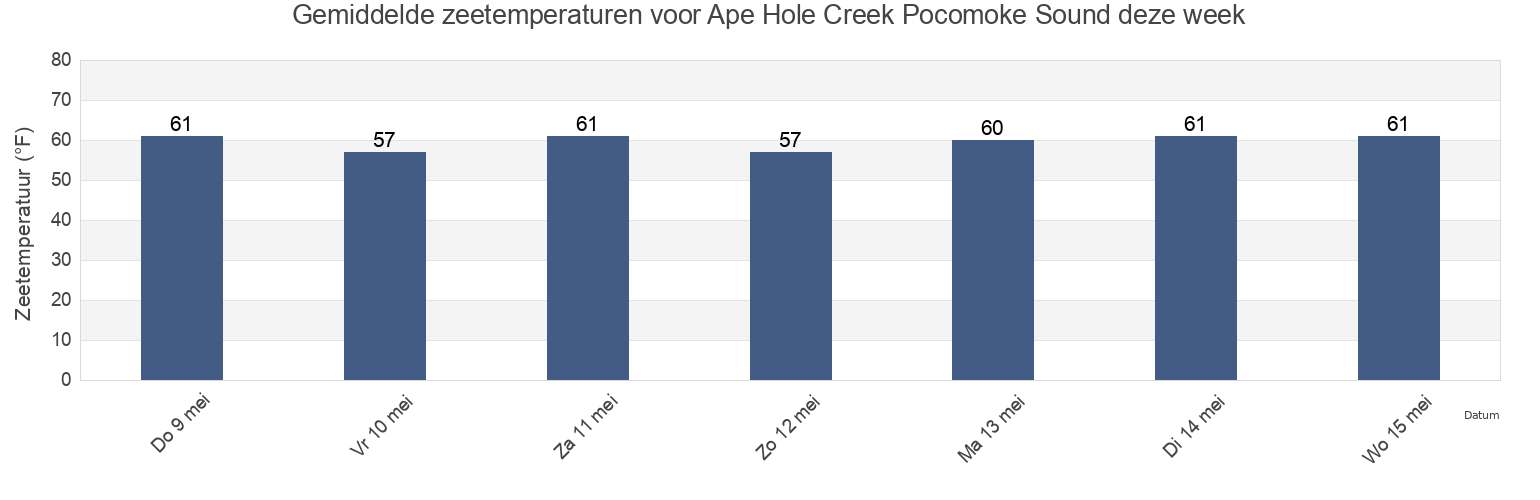 Gemiddelde zeetemperaturen voor Ape Hole Creek Pocomoke Sound, Somerset County, Maryland, United States deze week