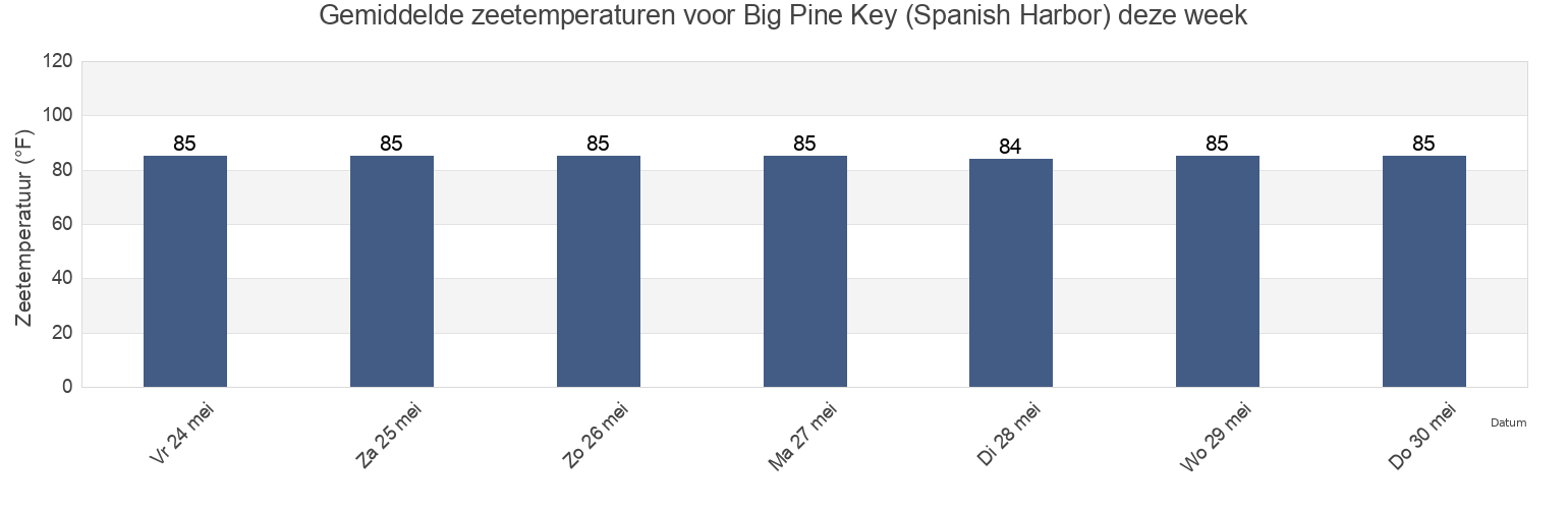 Gemiddelde zeetemperaturen voor Big Pine Key (Spanish Harbor), Monroe County, Florida, United States deze week