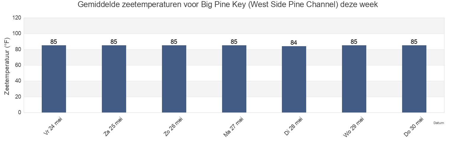 Gemiddelde zeetemperaturen voor Big Pine Key (West Side Pine Channel), Monroe County, Florida, United States deze week