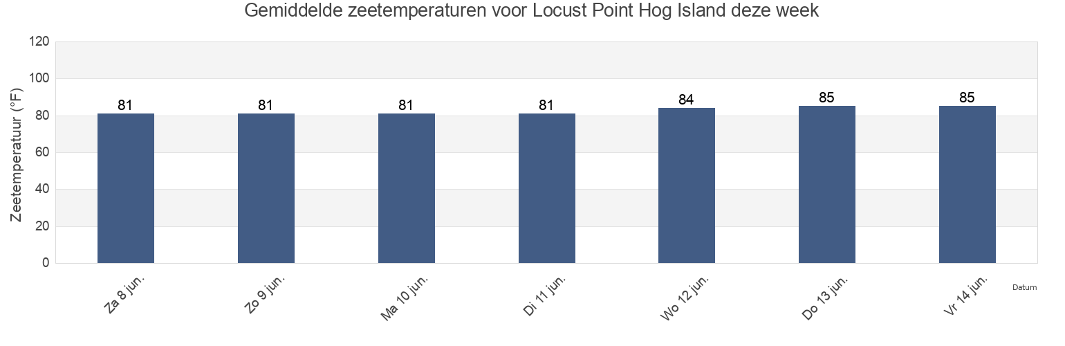 Gemiddelde zeetemperaturen voor Locust Point Hog Island, Charlotte County, Florida, United States deze week