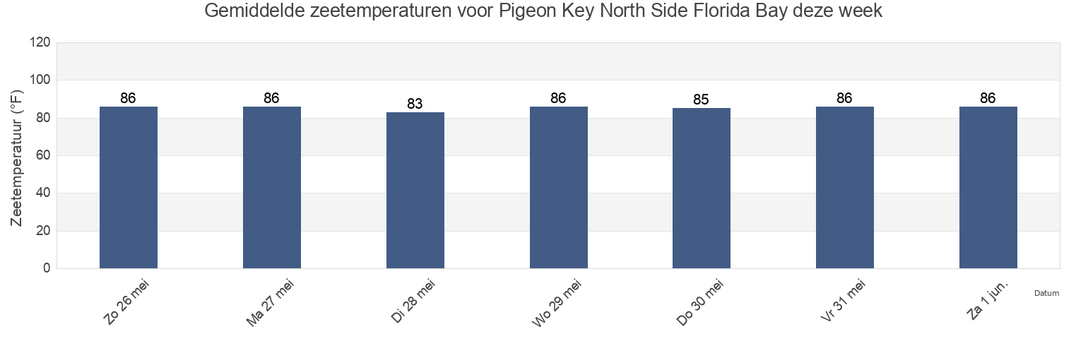 Gemiddelde zeetemperaturen voor Pigeon Key North Side Florida Bay, Monroe County, Florida, United States deze week