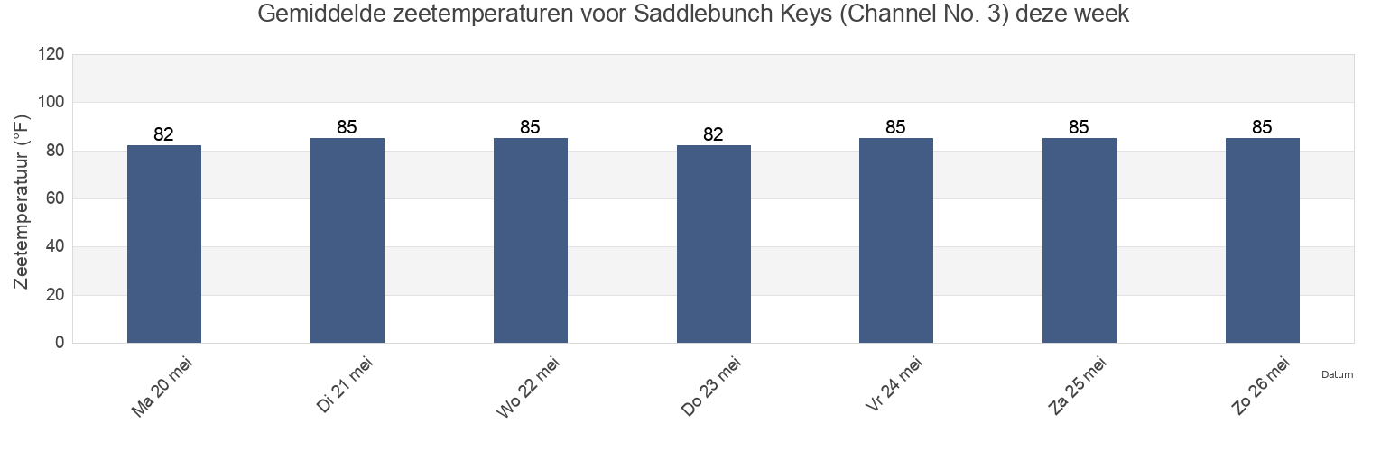 Gemiddelde zeetemperaturen voor Saddlebunch Keys (Channel No. 3), Monroe County, Florida, United States deze week