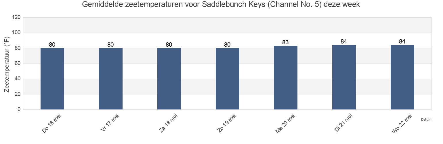 Gemiddelde zeetemperaturen voor Saddlebunch Keys (Channel No. 5), Monroe County, Florida, United States deze week