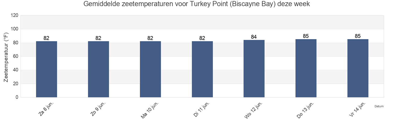 Gemiddelde zeetemperaturen voor Turkey Point (Biscayne Bay), Miami-Dade County, Florida, United States deze week