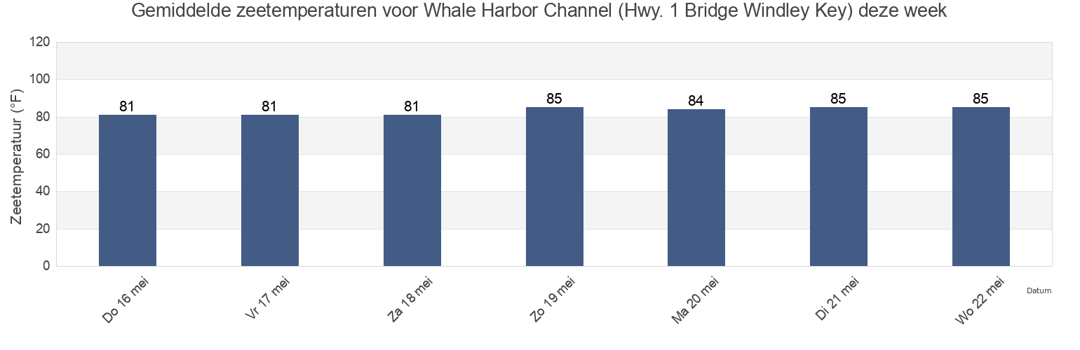 Gemiddelde zeetemperaturen voor Whale Harbor Channel (Hwy. 1 Bridge Windley Key), Miami-Dade County, Florida, United States deze week