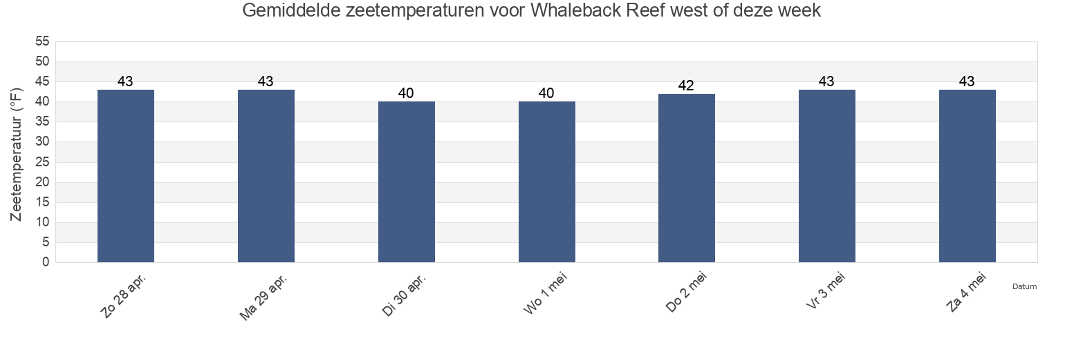 Gemiddelde zeetemperaturen voor Whaleback Reef west of, Rockingham County, New Hampshire, United States deze week
